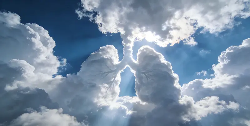 鹤岗肺癌13基因突变检测（组织）图片1