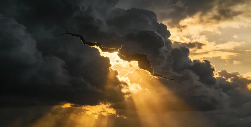 鹤岗肺癌靶向120基因检测（组织）图片1