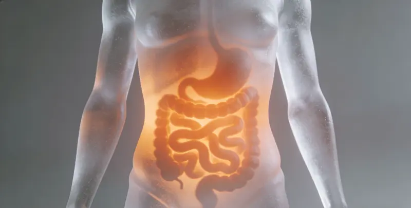 鹤岗胃癌全面用药基因检测（组织）图片1